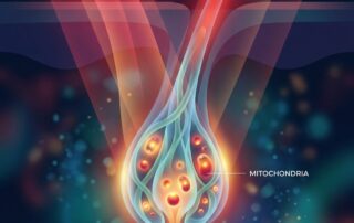 Conceptual illustration of photobiomodulation light therapy stimulating hair follicle cellular energy for hair loss treatment